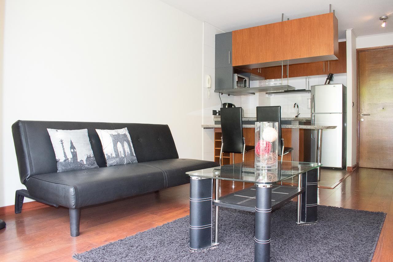 Bellavista Spotlight Apartment Santiago Dış mekan fotoğraf